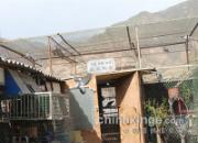 �������� 500����3���5��(ͼ)