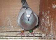 ����620�������һ���118��(ͼ)