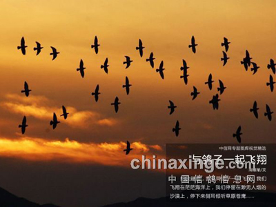 û�и��ӵ����� 