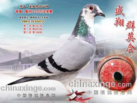 ���С�������ȴ� �ɹ��ﳣʤ����(ͼ)