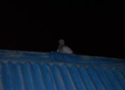 ���ۣ�ʧ����ҹ������ǰ��