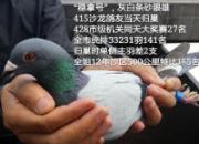 �������ܸ��ᴺ��С�᣺�Ų������������