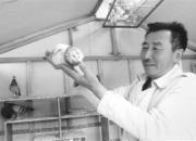 ��Ա����30�� һ��������Ը�(ͼ)