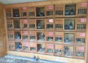 �ĺ����ѷúӱ���ƽ��������������(ͼ)