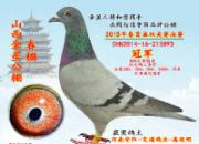 �ǽ��ǹ���ھ�����֮·(ͼ)