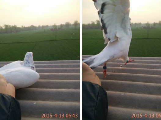 нԻ󣺻ɰܷɺã(ͼ)