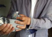 �����Ǿ��ٻ������500���Ｖ�ھ�(ͼ)