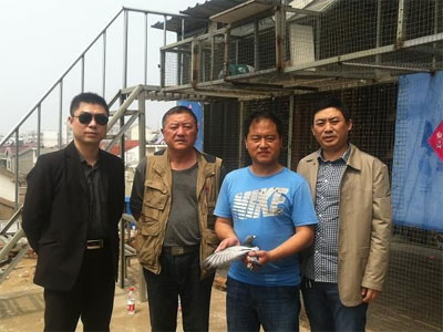 �ھ����� �˼����飺��ʧ��ʧ�ϡ�����������