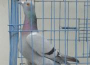 ���������������������ھ�(ͼ)