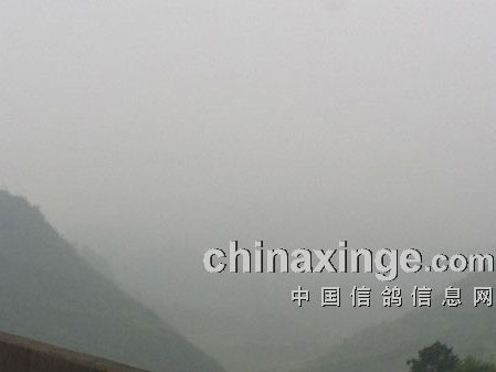 �ƹ���ѷţ�ϰ�߸��յȸ��(ͼ)