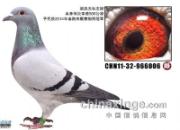 ����С���硱��������������ھ�(ͼ)