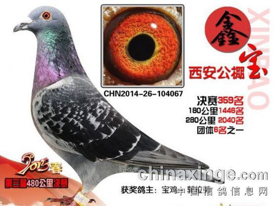 ������С�᣺���������������(ͼ)