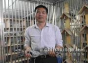 ��ӵ�����رȻ��������������(ͼ)