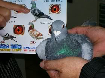 �������������ֵ��ǧ��(һ)