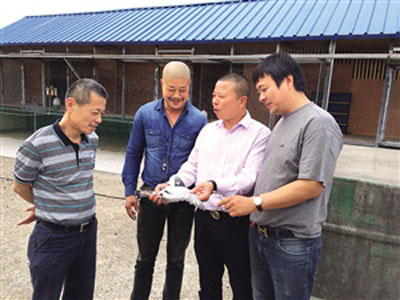 ���ǡ����֡����������� �������(ͼ)