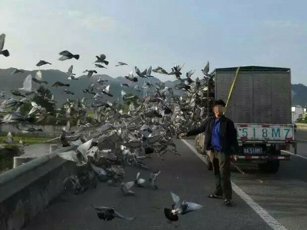 ��˿����ŷ� �������ģ�(ͼ) 