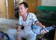 СЭ�Ἧ�������--�������(ͼ��)