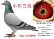 ����֮��Ϊ���� �Ҹü���������