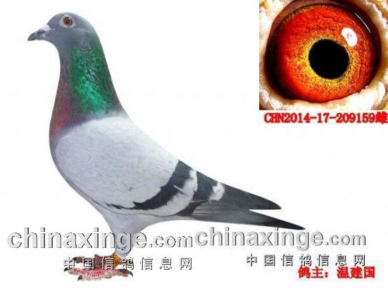 �����ܽ᣺վվ��ǰλ��(ͼ)