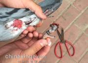 �������˫�� �������ȱ���(ͼ)