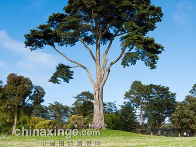 ����κ�ϣ���¶�ٳ��Ķ�ʿ