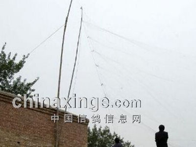 ���������� �鳲���ѻ�����ע��