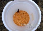 ���������񣺸�����