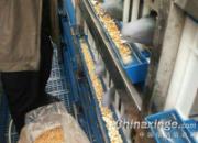 ����ͳ�����ݣ�3ǧ��ʿ˾�ŵ�ιʳˮ(ͼ)