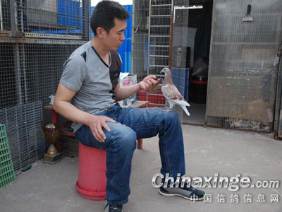 �˸�����Ϭ ֻʣ�ºóɼ�