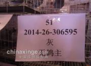 �������������᣺���������������(ͼ)