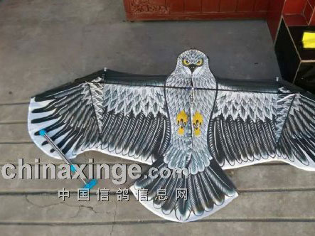 �ҷɱ�ɱ������ӥ������(ͼ)