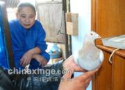 �����޽���������� ǰ;����(ͼ)