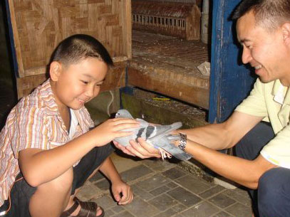 �ײ���ѣ��������Ǽ��ݳ���