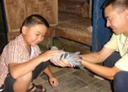 �ײ���ѣ��������Ǽ��ݳ���