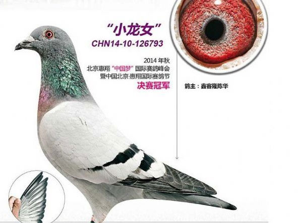 ��ͨ�ο�¡����֮�Ӳ�����ʤ(ͼ)