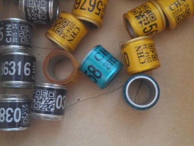 ��������ϻ��ܲ��ܲ�����