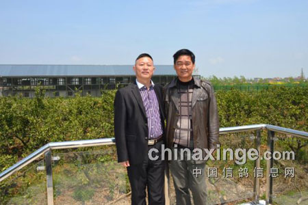 ���������ͥʽ����ר���Ϻ��ƽ𺣰���ΰ��