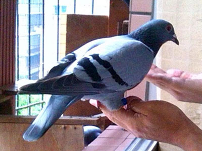 �׺���ǿ�û���Ұ��ǿ�ã�