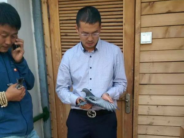 ѡ�������������뽻��(ͼ)