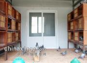 ֣����������ھ�����������(ͼ)