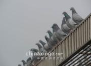 �������˵���㲢������