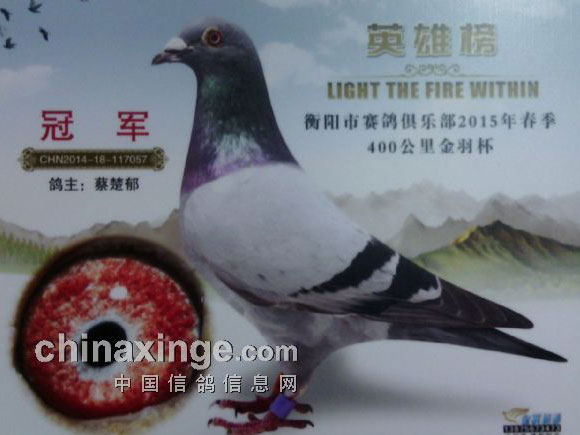 10���ϴƴ������� �ձ�Ȱɱ(ͼ)