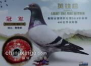 10���ϴƴ������� �ձ�Ȱɱ(ͼ)