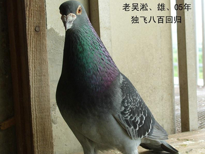 ǧ�������� ���������ض��ٹ�(ͼ)