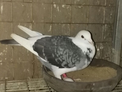 ������ɫ��ʲô����