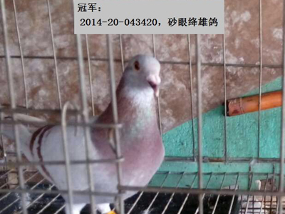 һ�˶����������صȾ�����ȫ������(ͼ)