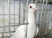 �׸뼸�����ҷ� ����������ǿ��