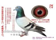 ��̭���´�����֮�� ��������(ͼ)