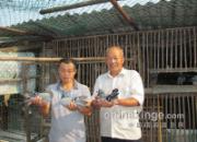 ���츸�Ӹ��᣺�ж̾�������ư�