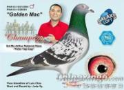 ���˸��Ѷ���ɱ��������ھ�(ͼ)